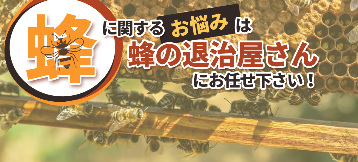 千葉、東京、埼玉、茨城の各県で蜂に関するお悩み、蜂の駆除お任せください。千葉、東京、埼玉、茨城の各県で蜂に関するお悩み、蜂の駆除お任せください。迅速な対応で最短30分でお宅に伺います。料金は、蜂の巣駆除業界で最安値の7500円から。アフターフォローも完璧。蜂の巣を駆除した場所と同じ場所に巣が作られにくくする薬剤を散布します。万が一、6ヵ月以内に同じ場所に再度巣が作られた場合は無料で駆除致します。