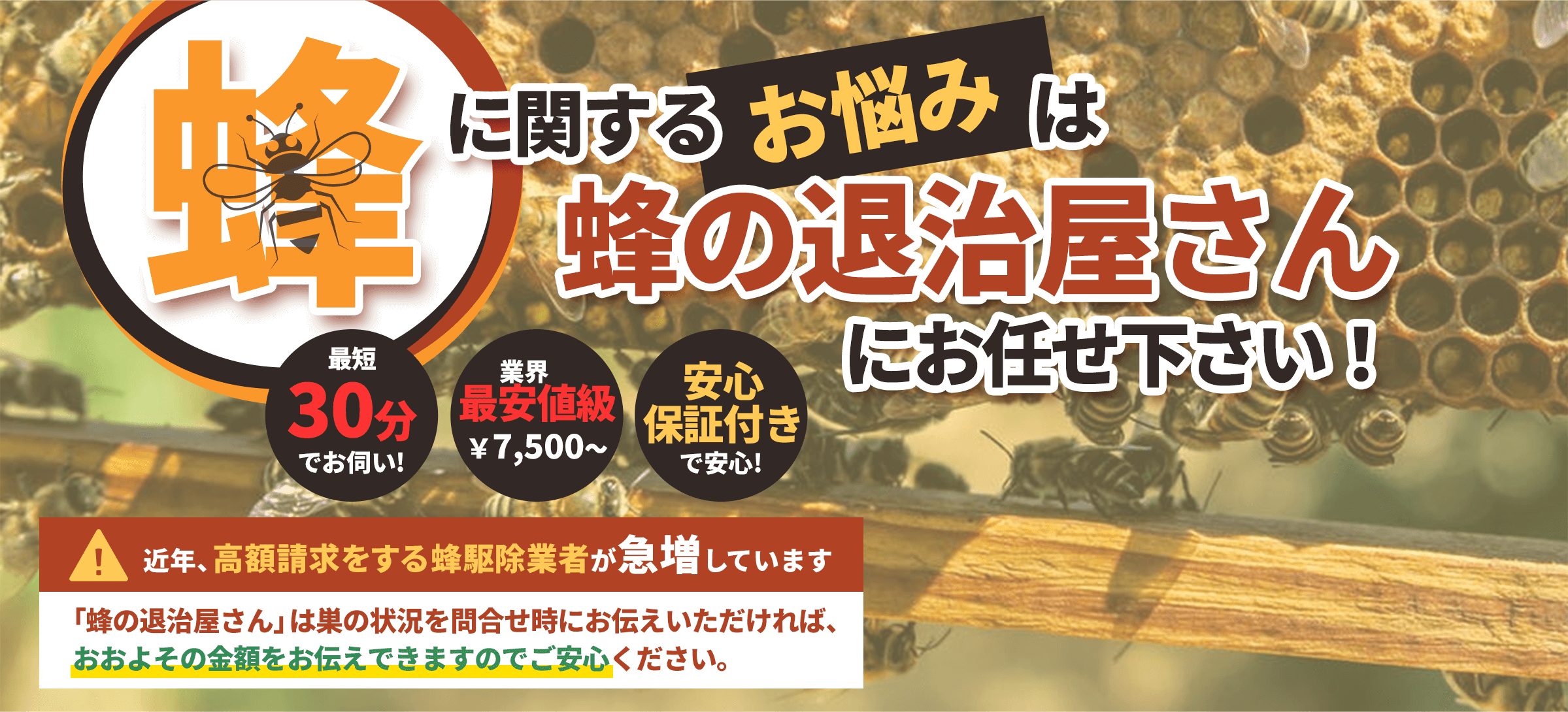 千葉、東京、埼玉、茨城の各県で蜂に関するお悩み、蜂の駆除お任せください。千葉、東京、埼玉、茨城の各県で蜂に関するお悩み、蜂の駆除お任せください。迅速な対応で最短30分でお宅に伺います。料金は、蜂の巣駆除業界で最安値の7500円から。アフターフォローも完璧。蜂の巣を駆除した場所と同じ場所に巣が作られにくくする薬剤を散布します。万が一、6ヵ月以内に同じ場所に再度巣が作られた場合は無料で駆除致します。