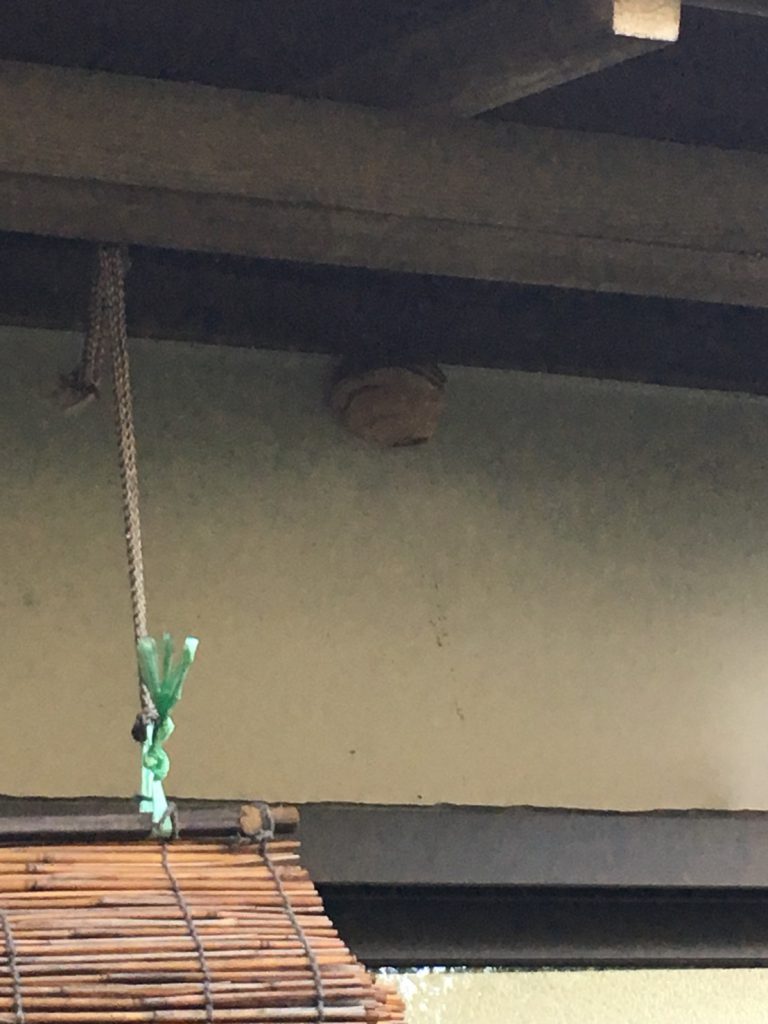 【千葉県柏市常盤台】8月15日、スズメバチの蜂の巣駆除依頼がありました【場所：1階軒下】