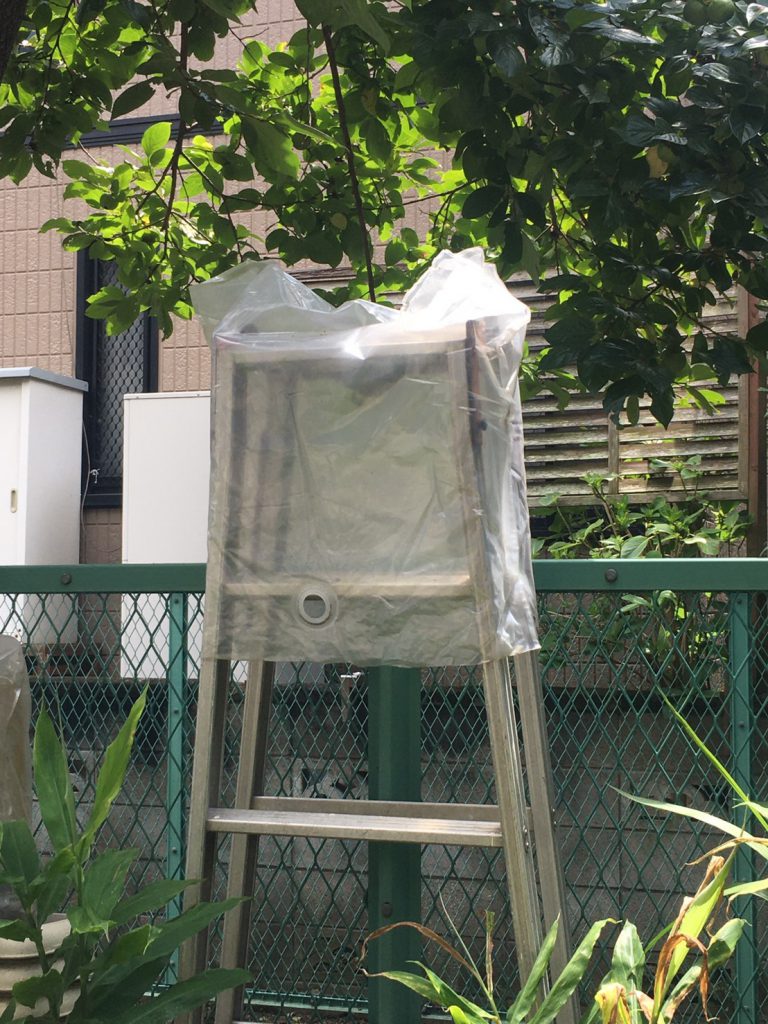 千葉県柏市永楽台の蜂の巣駆除現場